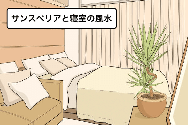 サンスベリアと寝室の風水