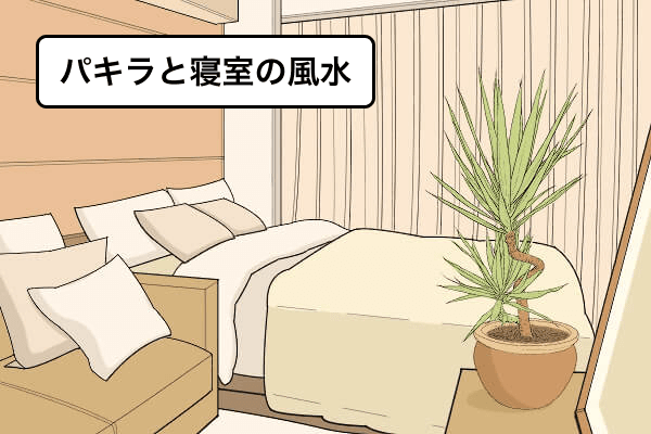 パキラと寝室の風水