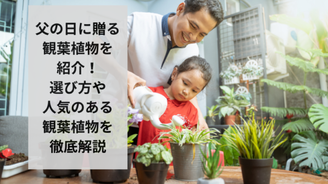 父の日に贈る観葉植物を紹介！選び方や人気のある観葉植物を徹底解説