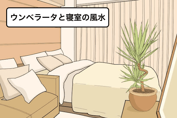 ウンベラータと寝室の風水
