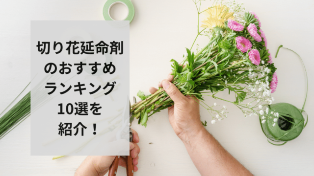 切り花延命剤のおすすめランキング10選を紹介！