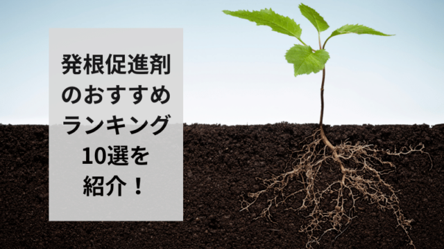 発根促進剤のおすすめ人気ランキング10選を紹介！