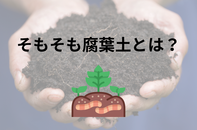 そもそも腐葉土とは？