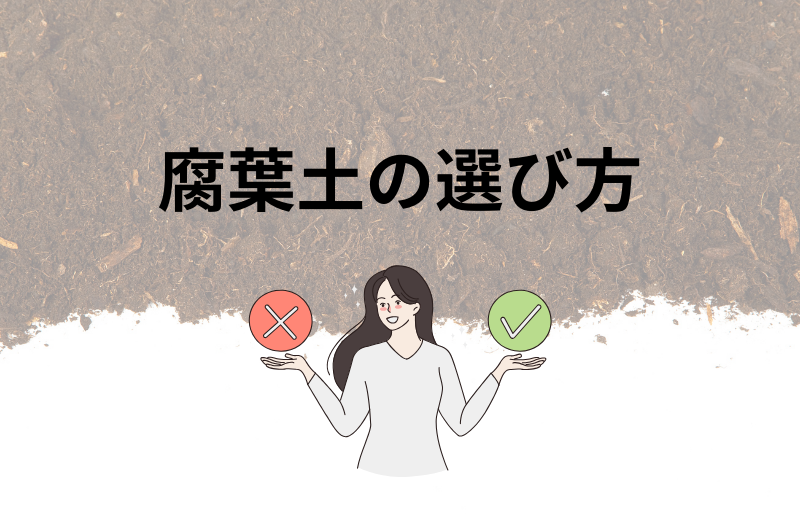 腐葉土の選び方