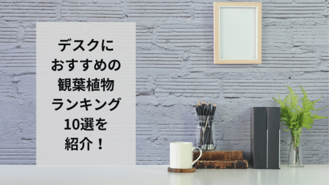 デスクにおすすめの観葉植物ランキング10選を紹介！